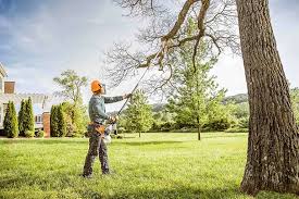 How Our Tree Care Process Works  in  Narragansett Pier, RI