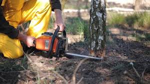 Best Aeration Services  in Narragansett Pier, RI